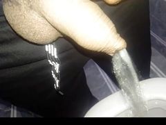 Pissing in the Toilet
