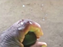 Black grandpa exploading
