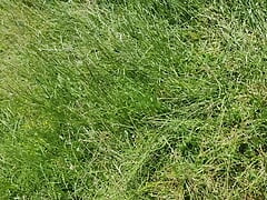 Fast Outdoor Cumshot on a Bench at a vantage point