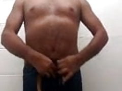 Oso mexicano dando lechita