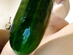 Watch the rim of my glistening wet asshole move as a cucumber slides slowly in and out.