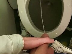 Jerk off and pee in the toilet of the plane