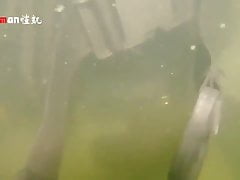wanking in the lake