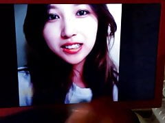 Twice Mina cum (tribute) #14