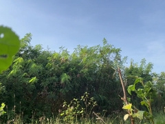 Security Guard masturbate off during break time