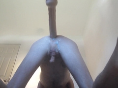 Large 16" fake penis on poke machine tucks supreme