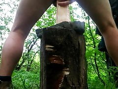 Outdoor dildo play