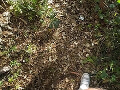 handjob in the forest