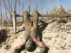 Dirty found at the beach