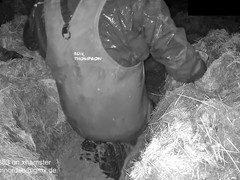 Close-up of gay guys getting off together