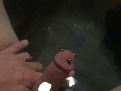 Pierced Cock - Ampallang & Apadravya