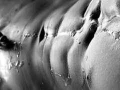 B&W video starring Austin Anderson and his classic cock