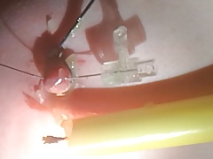 Niples torture extreme 2