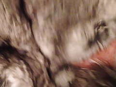 cum in cincilla fur