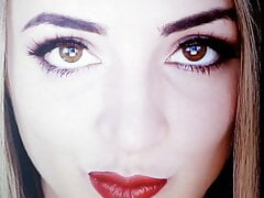 Gibi ASMR Cum Tribute 13