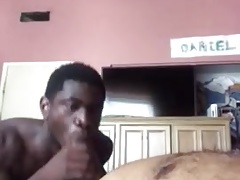 Black Boy Sucks White Bear' Cock