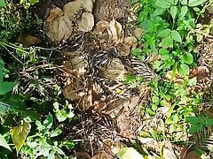 Walking naked outdoor Part 3 Indian guy in the forest, cock