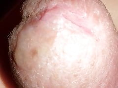 MY MORROCAN DICK