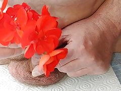 Painting cock insert flowers in my peehole, torture, cum