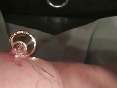 sewing nipples and cock estim