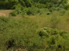 Fichtre, on tire sur sa tire pendulous qu'il bobine une nana se faisant tirer!