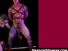 Otter Damian Dragon is tied and suffer from slapping and ball busting
