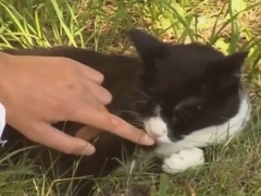 Country Boys Hidden Gay Teen Porn