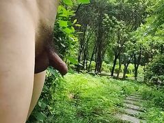 It's too hot, strip naked and visit the park