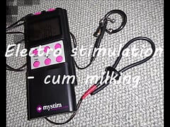 Electro stimulation - cum milking
