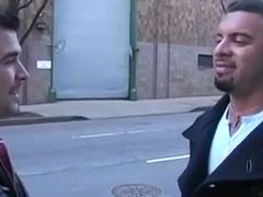 Swallow staight boy 2