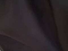 Married studs in the forest looking fron wood