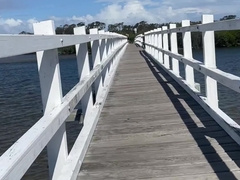 Bike railing and adventures in purple swimsuit