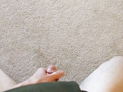 Pissing on my bedroom carpet