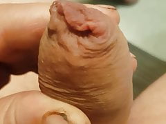 Blooming my cock!
