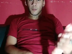 Barbero Argentino Lechea un Faux-Cock