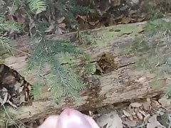 outdoor cumshot