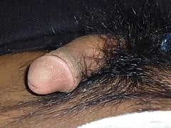 slideshow - cock -  penis