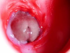 Nice big head slides inside best friend's sweet shiny hole!