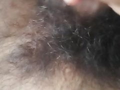 Hairy dick