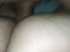 Fuck a bear ass 2