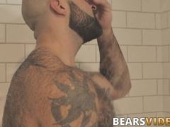 Atlas Grant shows off that bear body and tugs on his dick