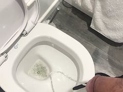 Pissing in the toilet on holiday