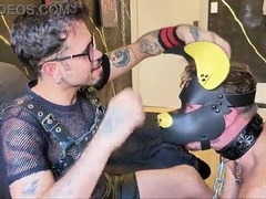 Trans doll forming a subjugated playmate with dogplay while her spouse films.