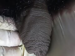 cream pie cuming out