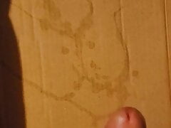 My Cum box