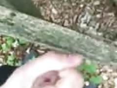 Cumming in the Woods