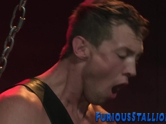 Trussed grizzly gets shlong