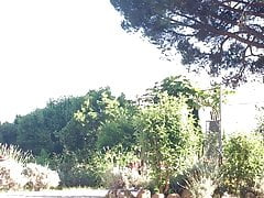 Culo