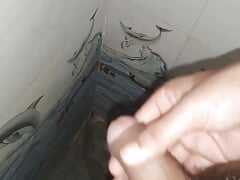 Everybody at home so masterbating in the bathroom secretly