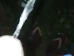 Lanka gay